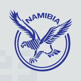 Namibian rugby union team
